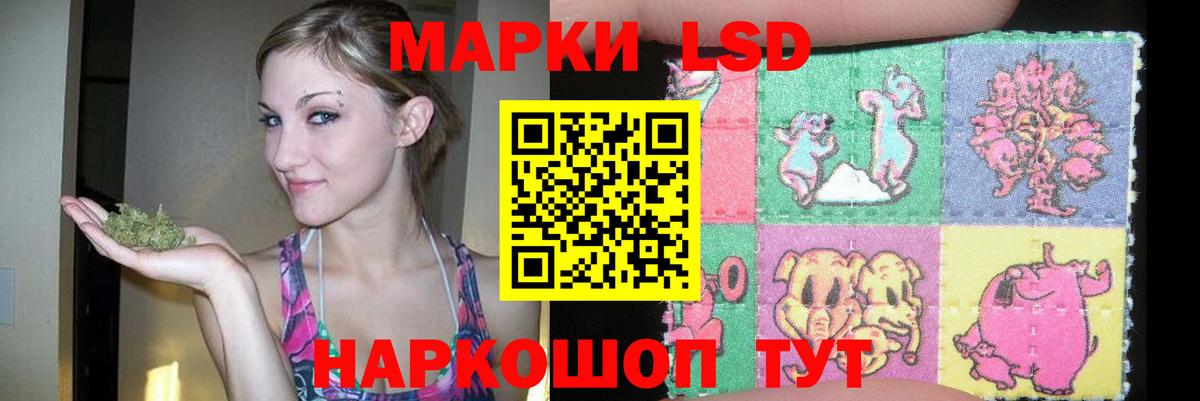 ЛСД экстази ecstasy Камышин