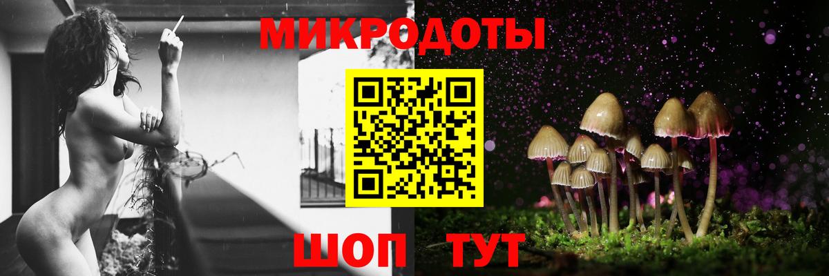 Галлюциногенные грибы MAGIC MUSHROOMS  Вход с VPN  Камышин 